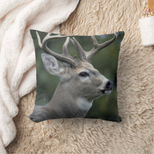 Coussin Cerf à queue blanche État de Washington