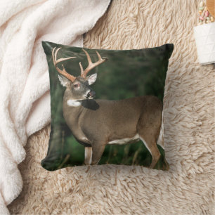 Coussin Cerf à queue blanche Tennessee