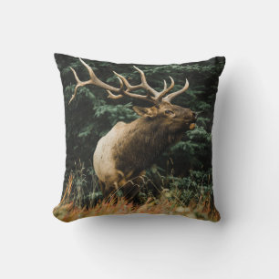 Coussin CERF Brown EN GRAS VERT PENDANT LA JOURNÉE