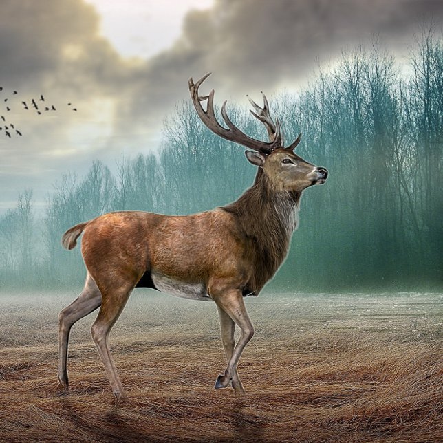 Coussin Cerf Lone Dans La Forêt Misty (Créateur téléchargé)