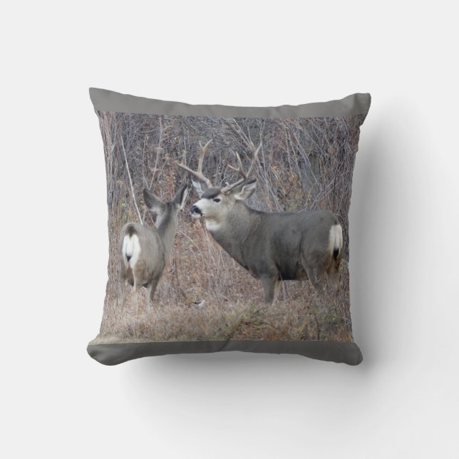 Coussin Cerf mulet D29 (Recto)