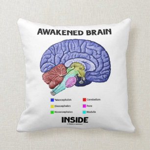 Coussin Cerveau éveillé à l'intérieur (anatomie du cerveau