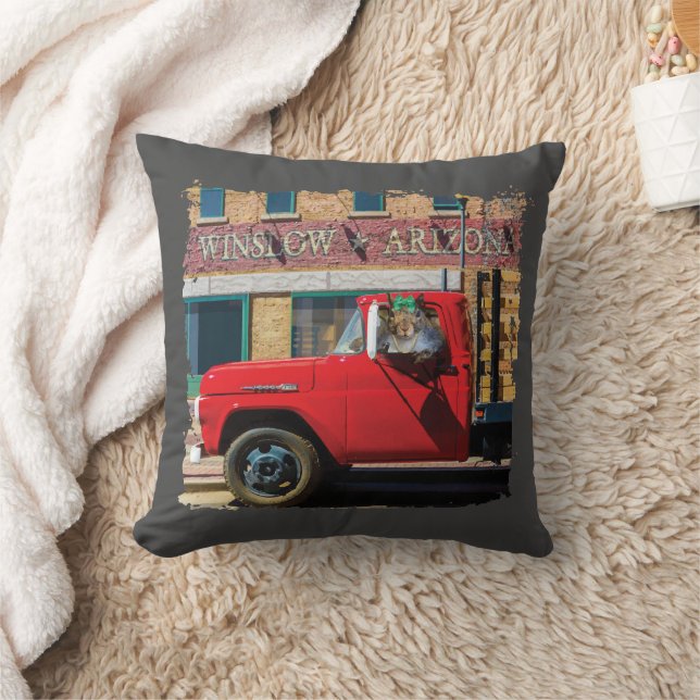 Coussin C'est un écureuil, mon Seigneur (Couverture)