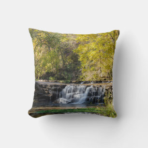 Coussin C'est une cascade de cornouiller