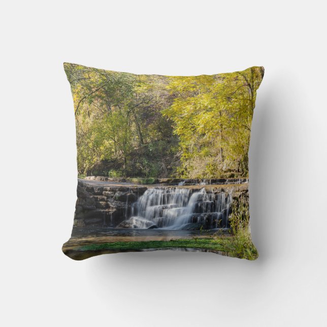 Coussin C'est une cascade de cornouiller (Recto)