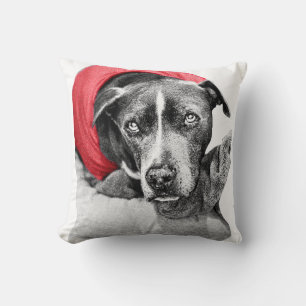 Coussin Chaleur de récolte en rouge