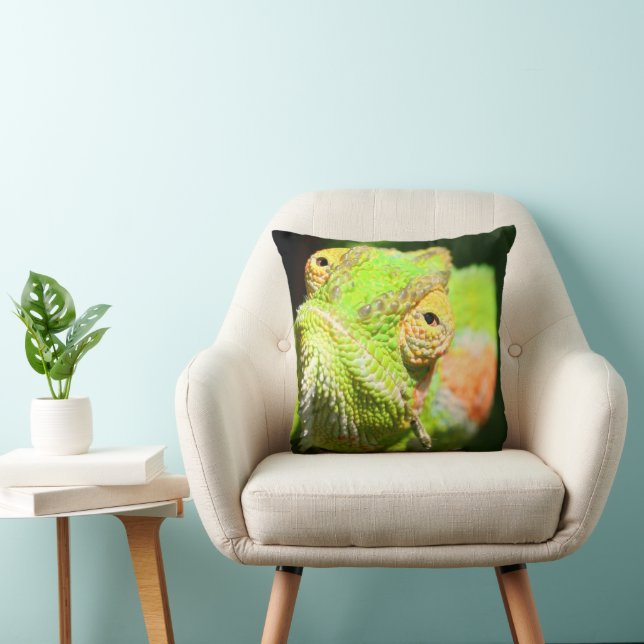 Coussin Chameleon (Chaise)