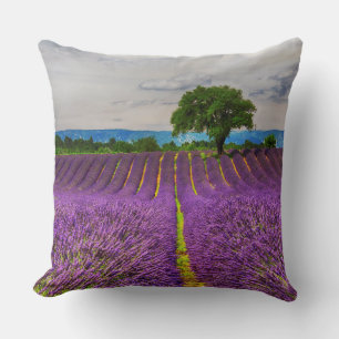 Coussin Champ de lavande panoramique, France