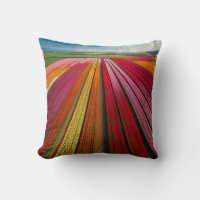Champs de tulipe en pleine floraison - atterrissag