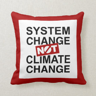 Coussin Changement de système et non changement climatiqu
