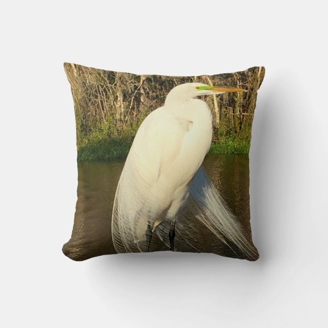 Coussin Charlie (Recto)