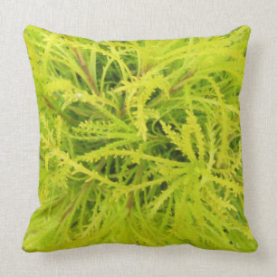 Coussin Chartreuse