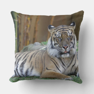 Coussin chat à motif tigre personnalisé Anniversaires