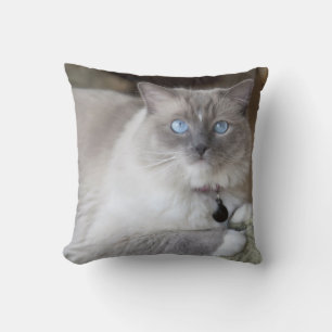 Coussin Chat à poupée femelle