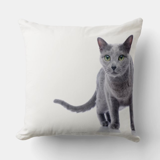 Coussin Chat bleu russe (Recto)