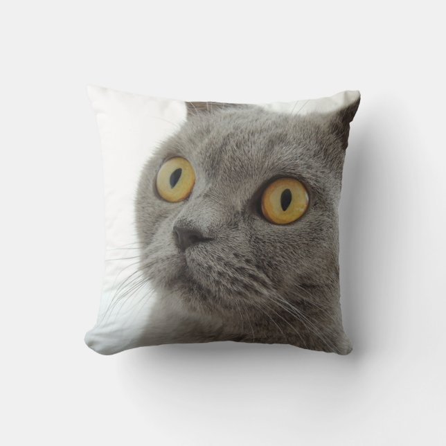 Coussin Chat-Chat-Chant britannique à courte distance (Recto)