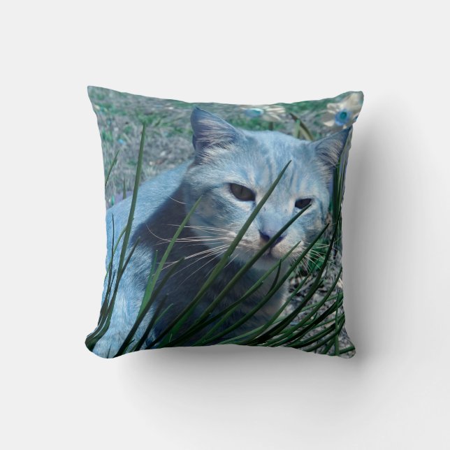 Coussin Chat dans l'oreiller à lancer bleu (Recto)