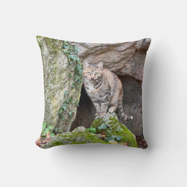 Coussin Chat de montagne (Recto)