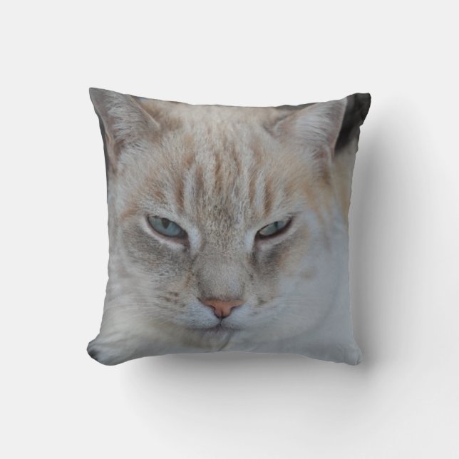 Coussin Chat de tigre de neige blanche - Amoureux de les c (Recto)
