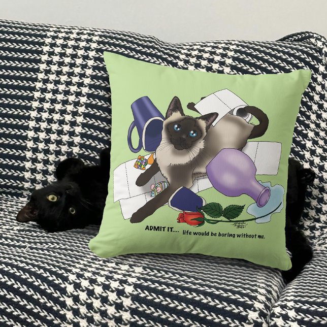 Coussin Chat mal (Créateur téléchargé)