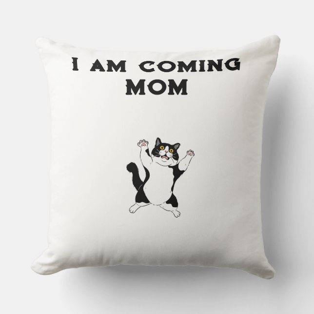 Coussin chat mignon (Recto)