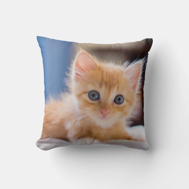 Coussin Chat mignon avec des yeux bleus (Recto)