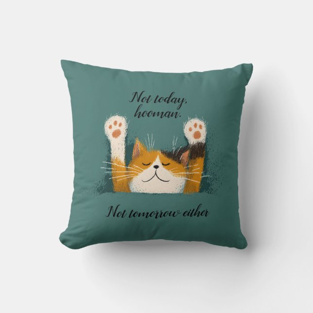 Coussin Chat mignon drôle qui fait une sieste (Recto)