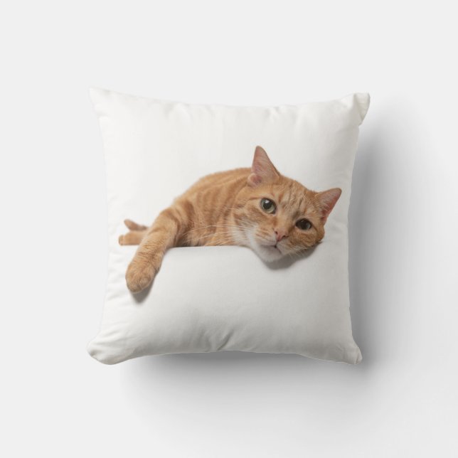 Coussin Chat Orange Posé En Bas (Recto)