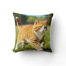 Chat orange tigré réaliste dans une prairie ensole