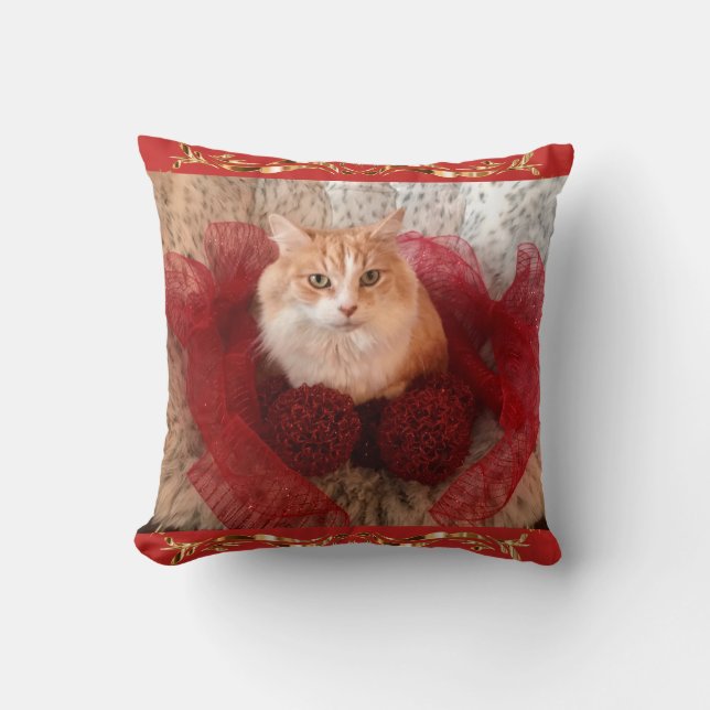 Coussin Chat pelucheux et carreau rouge de ruban (Recto)