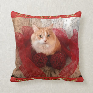 Coussin Chat pelucheux et carreau rouge de ruban