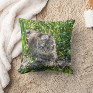 Coussin Chat pendant l'éclipse