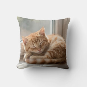 Coussin Chat roux confortable faisant une sieste au soleil