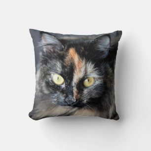 Coussin Chat sibérien