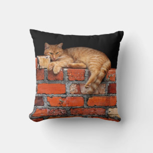 Coussin Chat sur mur de brique