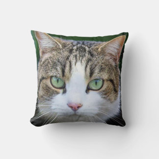 Coussin chat tacheté blanc - amateurs de photos de chat