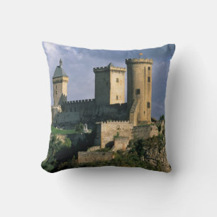 Coussin Château Comtal Château des Comtes de
