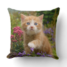 Chaton mignon de gingembre dans un jardin