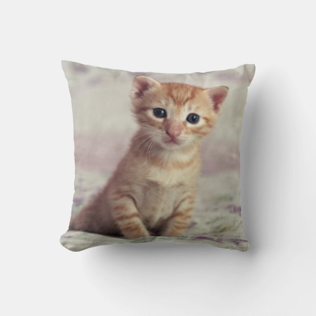Coussin Chaton minuscule de gingembre (Recto)