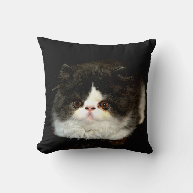 Coussin Chaton noir et blanc (Recto)