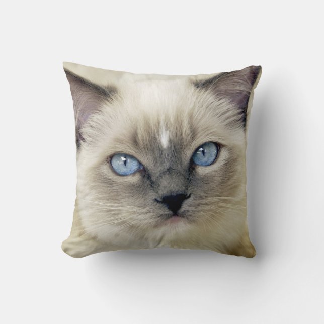 Coussin Chaton Ragdoll (Recto)