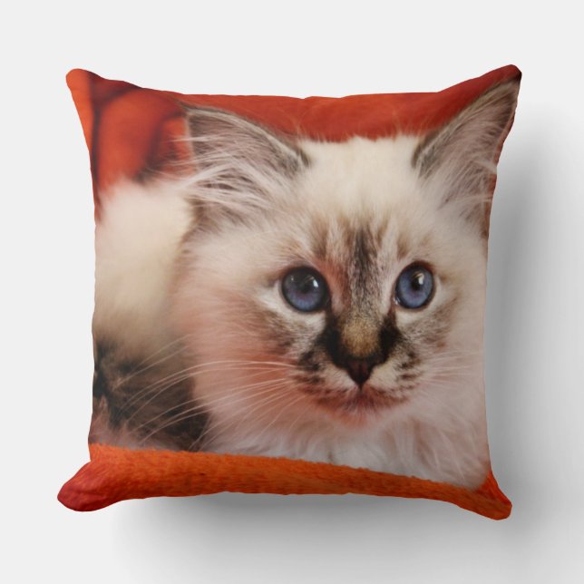 Coussin Chaton sacré de Birman (Recto)