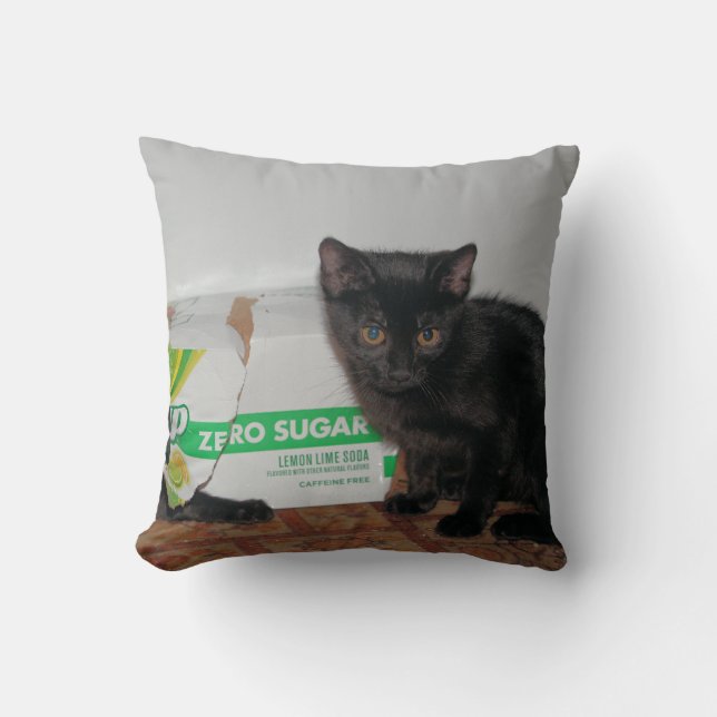 Coussin Chatons (Recto)