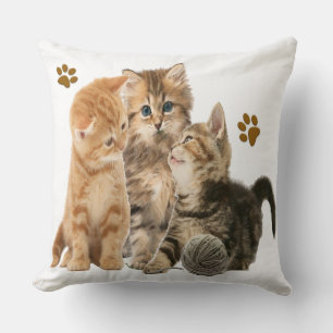 Coussin Chats