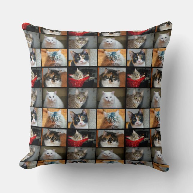 Coussin Chats Chats Chats (Recto)
