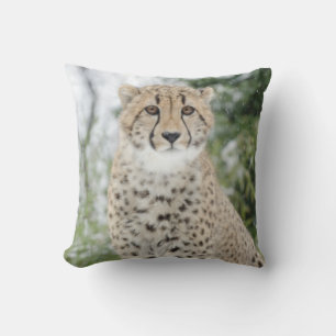 Coussin Cheetah en neige