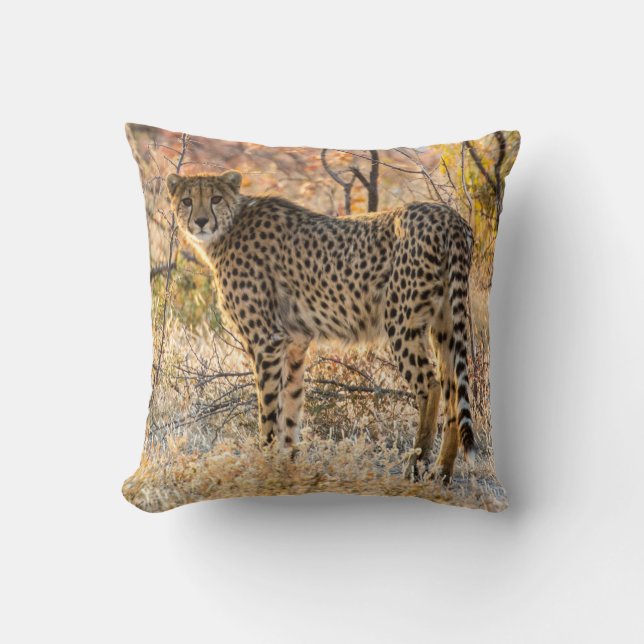 Coussin Cheetah regarde autour de lui (Recto)