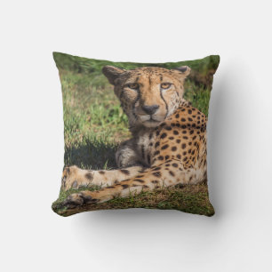 Coussin Cheetah relaxant