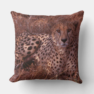 Coussin Cheetah Stare