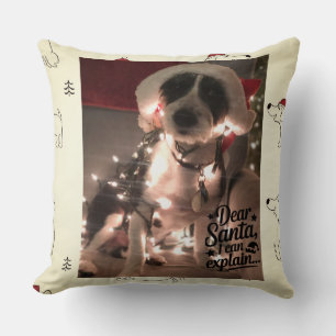 Coussin Cher Père Noël, je peux expliquer (chien)